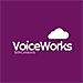 birchman voiceworks логотип