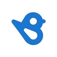 birdeye логотип
