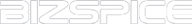 bizspice logo