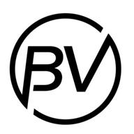 blimpventures llc logo