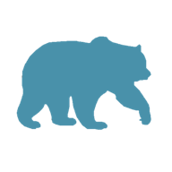 blue bear creative llc логотип