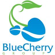 blue cherry group logo