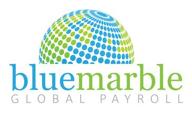 blue marble global payroll logo