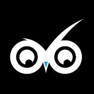 blue owl logo