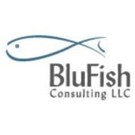 blufish consulting logo