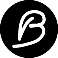 bogdan biris logo