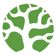 bonsai search logo