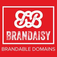 brandaisy логотип