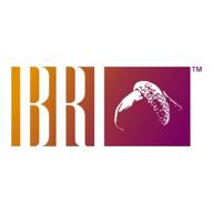 bri associates - new business & innovation consulting логотип