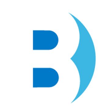 brilliance business solutions 로고