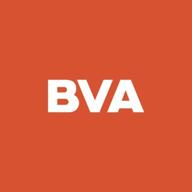bv accel логотип