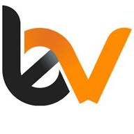 bytesview logo
