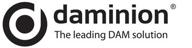 daminion логотип
