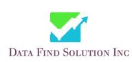 data find solution inc. logo