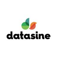 datasine logo
