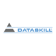 dataskill, inc. логотип