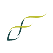 digital fusion logo