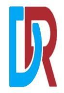 domainracers логотип