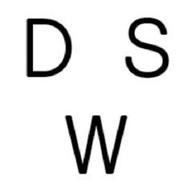 drawswords studio logo