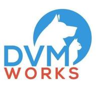 dvmworks logo