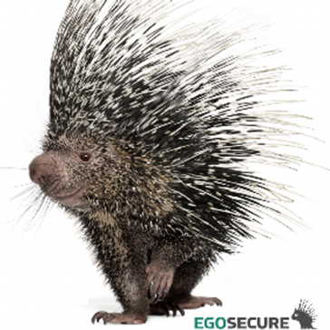 egosecure endpoint 로고