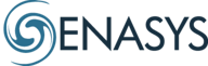 enasys professional logo