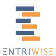 entriwise логотип