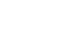eyeflow logo