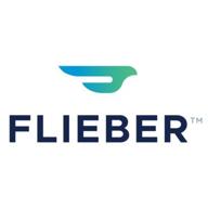 flieber логотип