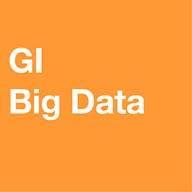 gi big data logo