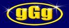 giga group inc logo
