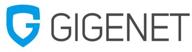 gigenet dedicated server hosting логотип