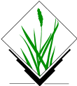 grass logo