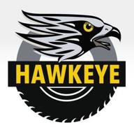 hawk eye logo