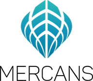 hr blizz logo