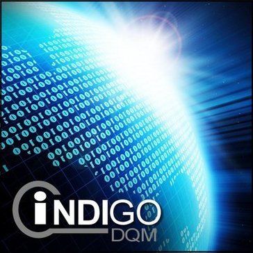 indigo dqm 로고