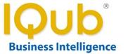 iqub business intelligence reporting solutions logo