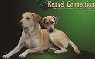 kennel connection logo
