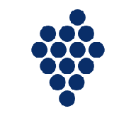 kluster logo