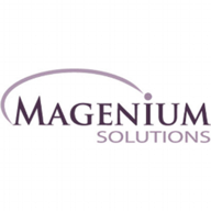 magenium solution consulting logo