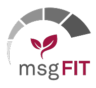 msgfit - accelerate your sap s/4hana conversion логотип