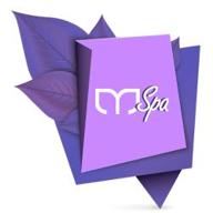 mspa logo