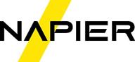 napier intelligent compliance logo