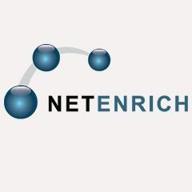 netenrich logo