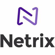netrix, llc логотип