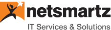 netsmartz e-learning 로고