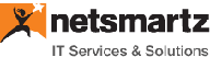 netsmartz e-learning logo