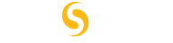 netsymm logo