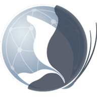 netty logo