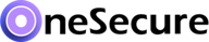 onesecure quantum security logo